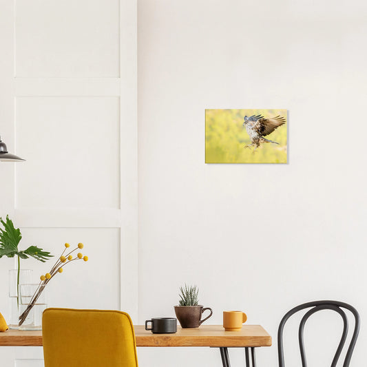 14ce2668-6596-4d7c-973b-378a84956d0c