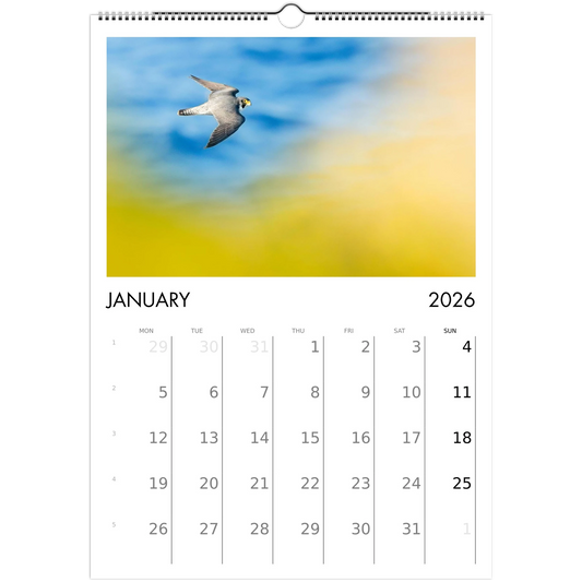 20c6e923-04bb-4f82-b327-debd4653b24c