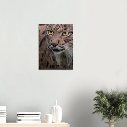 9149ef2e-c12d-464e-9c19-9c986241c89c