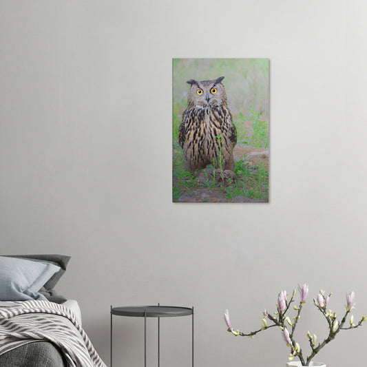 92b0b6ad-ddb5-4ca1-b0ba-f4af626ae2a5