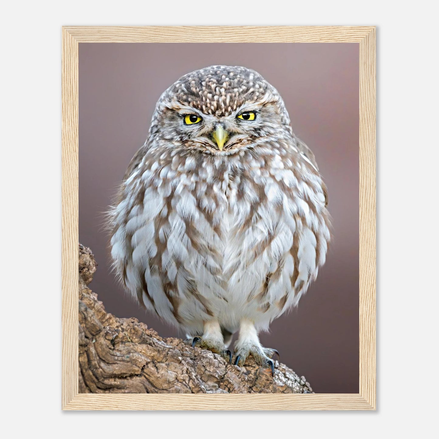 9e77de77-6487-463d-a853-45db16ad360b