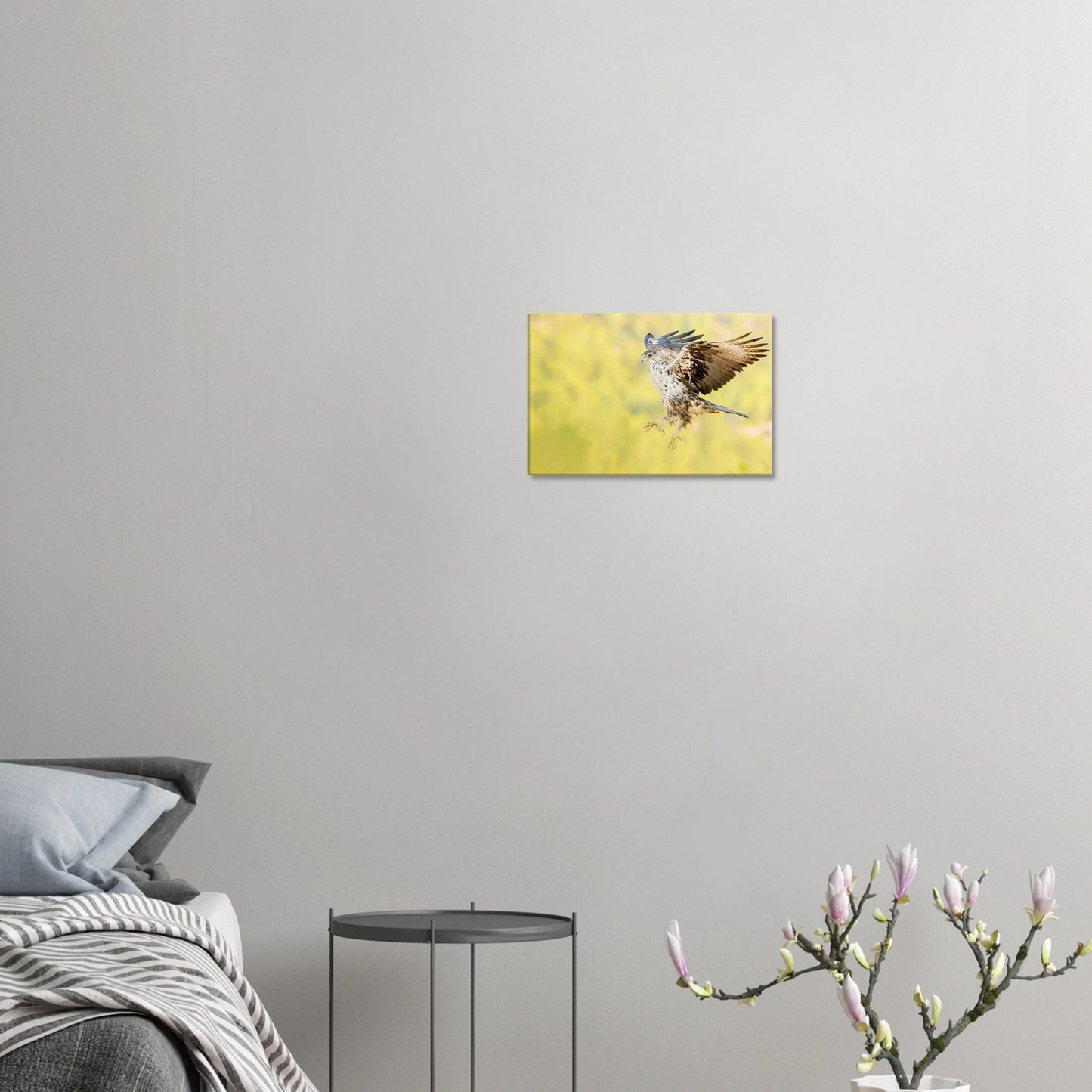 a5fb16a8-1792-4b66-8373-f4968ccad3a6