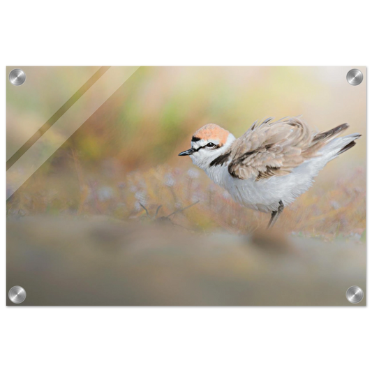 01cb8b4e-926d-4b06-8244-b20830a2baae