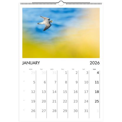 20c6e923-04bb-4f82-b327-debd4653b24c