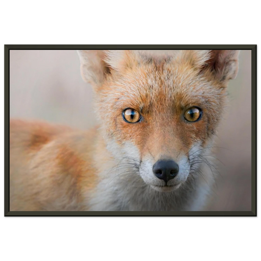 54d7396f-1c26-4957-af92-a72132cf1e1b