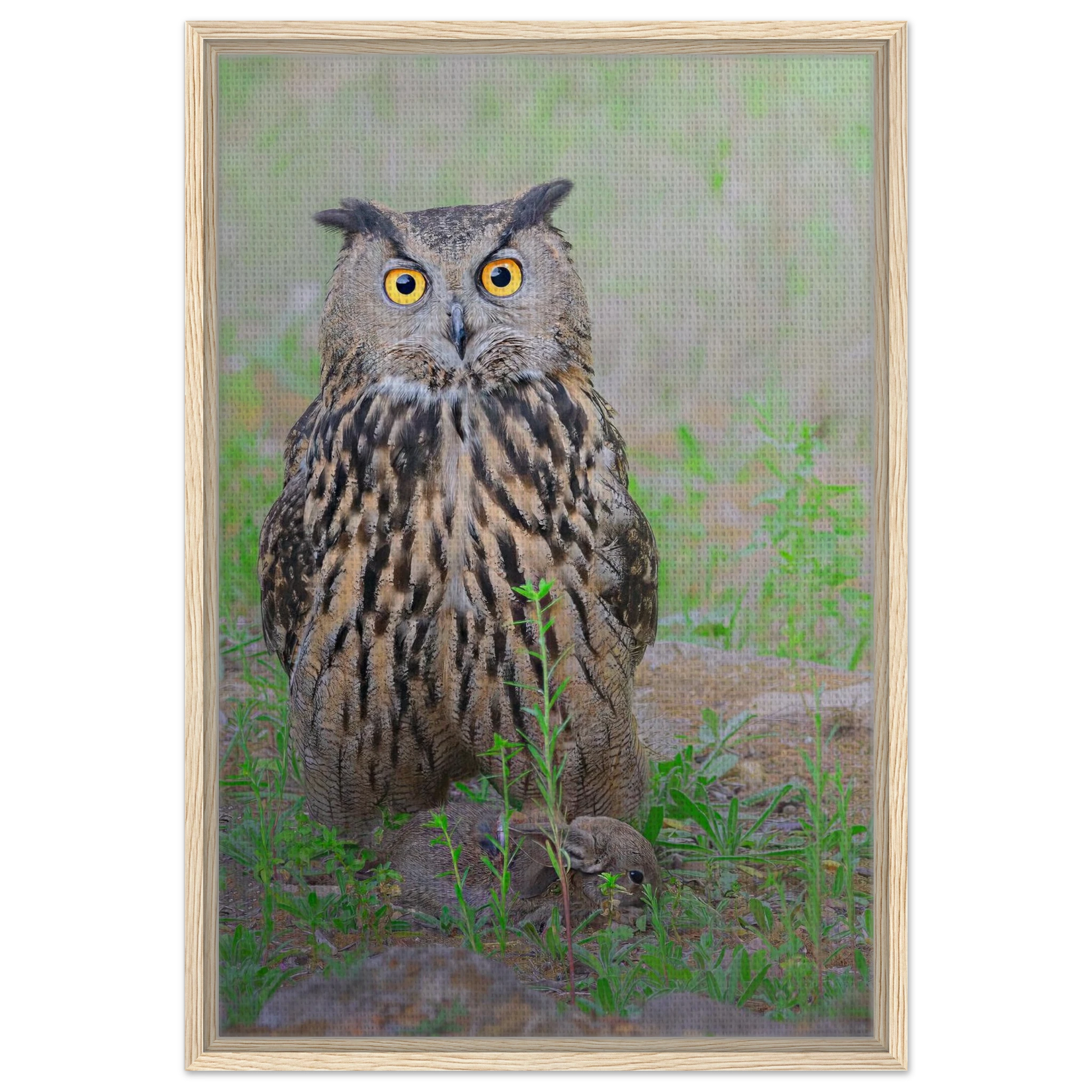 Majestic Eagle-Owl wildlife photography, premium framed canvas wall art - The Wild Bubo