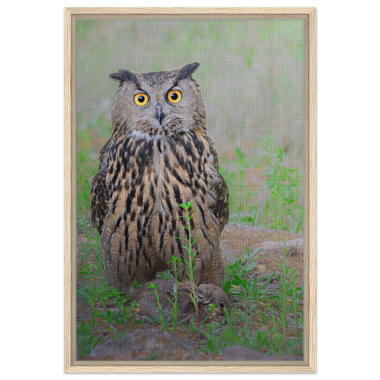 Majestic Eagle-Owl wildlife photography, premium framed canvas wall art - The Wild Bubo