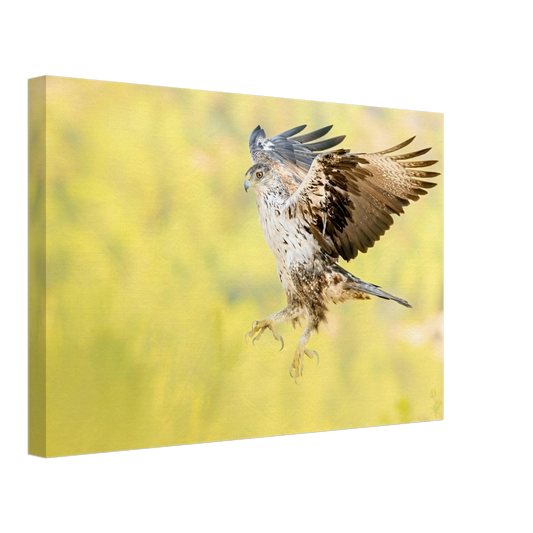 ad9b0504-26ff-4454-90c6-ab83a4bb7321